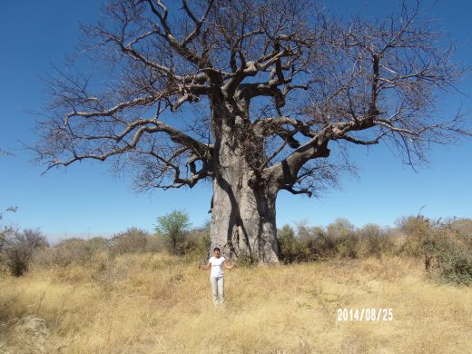 KODAK Digital Still Camera