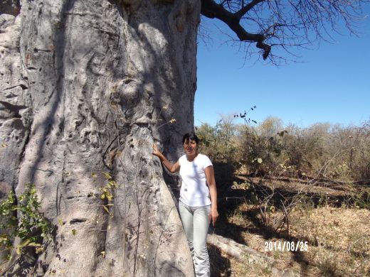 KODAK Digital Still Camera