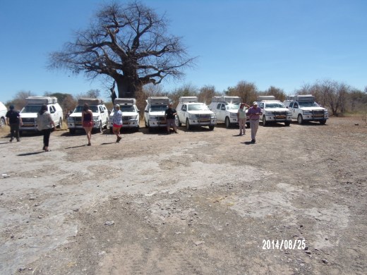 KODAK Digital Still Camera